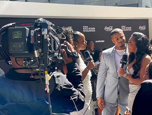 fiber silverback.jpg